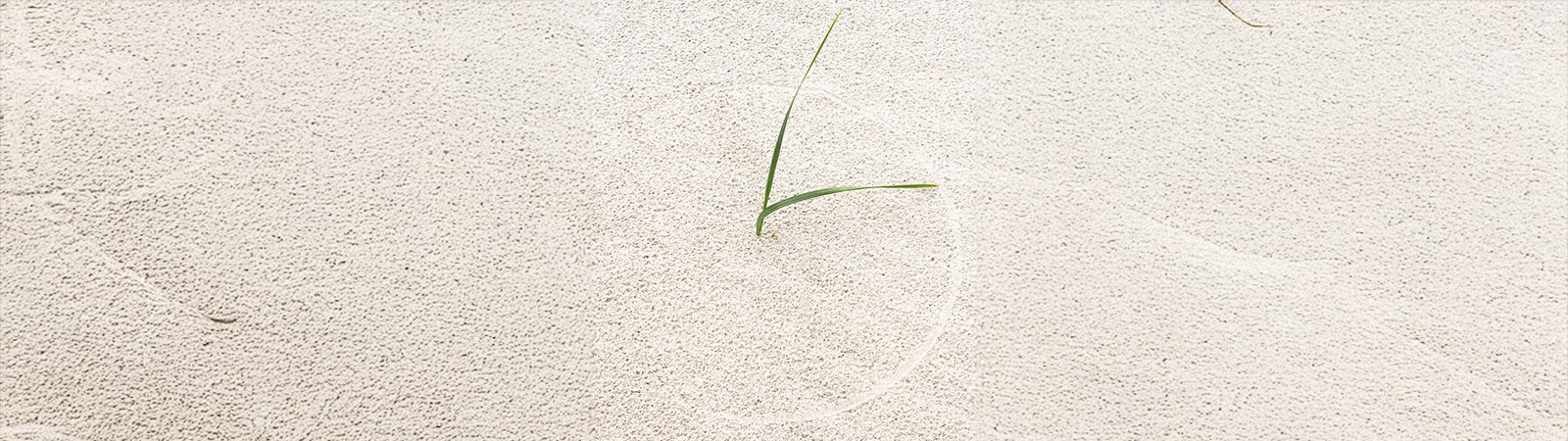 Time showing in sand by grass blown around